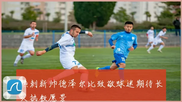 热刺新帅德泽尔比致敬球迷期待长久执教愿景