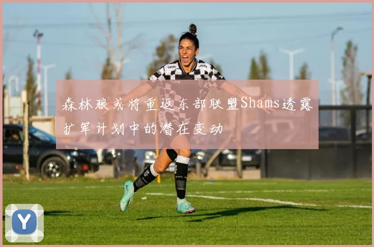森林狼或将重返东部联盟Shams透露扩军计划中的潜在变动