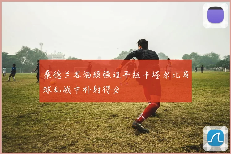 桑德兰客场顽强追平纽卡塔尔比角球乱战中补射得分
