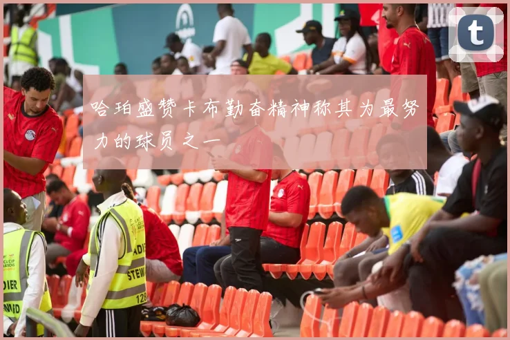 哈珀盛赞卡布勤奋精神称其为最努力的球员之一